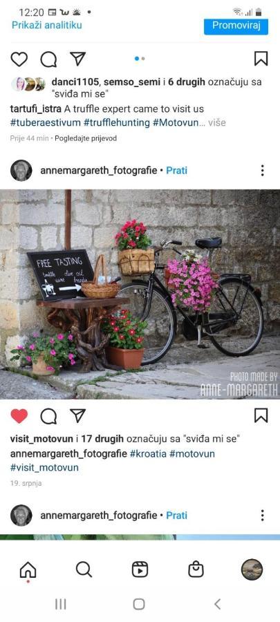 Bed & Breakfast Antico Motovun Bagian luar foto