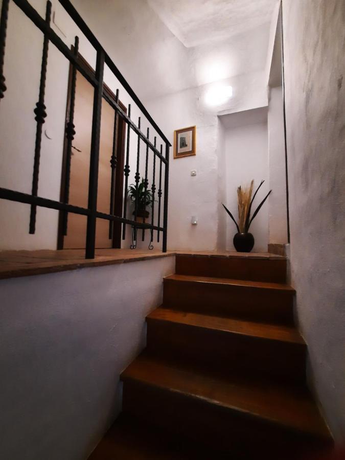 Bed & Breakfast Antico Motovun Bagian luar foto