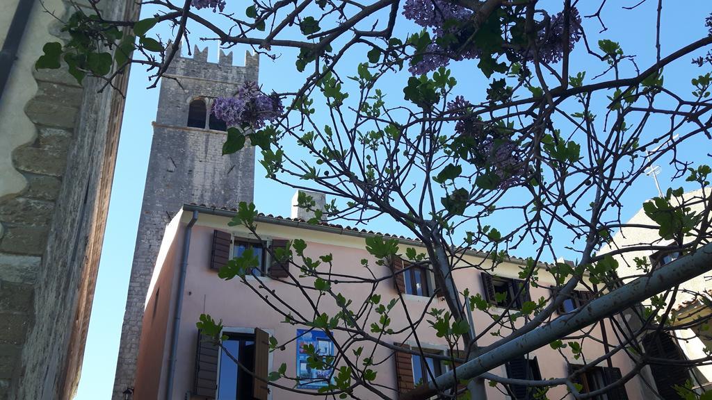 Bed & Breakfast Antico Motovun Bagian luar foto